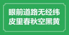 “眼前道路無經緯，皮里春秋空黑黃”是什么意思_出處是哪里