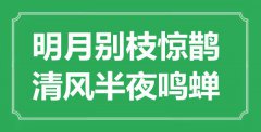 “明月別枝驚鵲，清風半夜鳴蟬”是什么意思_出處是哪里