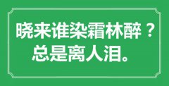 “曉來誰染霜林醉？總是離人淚”是什么意思_出處是哪里