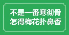 “不是一番寒徹骨，怎得梅花撲鼻香”是什么意思_出處是哪里