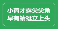 “小荷才露尖尖角，早有蜻蜓立上頭”是