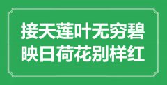 “接天蓮葉無窮碧，映日荷花別樣紅”是